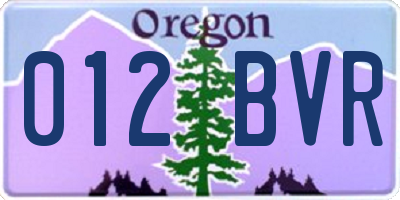 OR license plate 012BVR