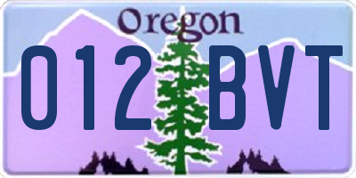 OR license plate 012BVT