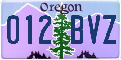 OR license plate 012BVZ