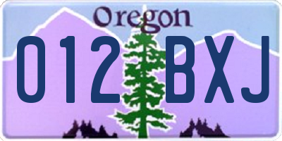 OR license plate 012BXJ