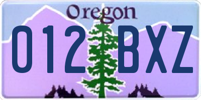 OR license plate 012BXZ
