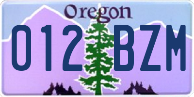 OR license plate 012BZM