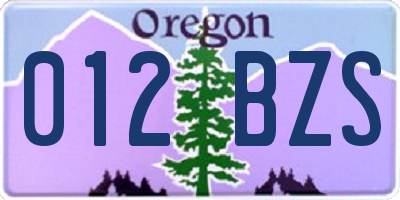 OR license plate 012BZS