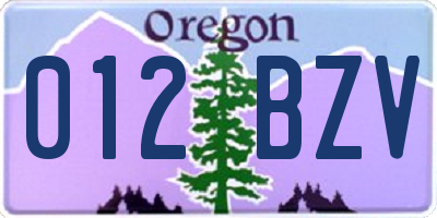 OR license plate 012BZV