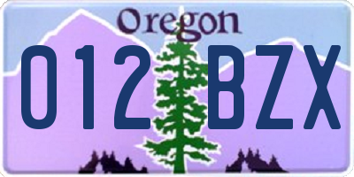 OR license plate 012BZX
