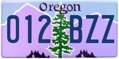 OR license plate 012BZZ