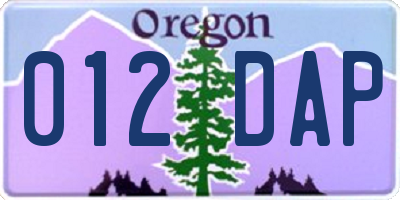OR license plate 012DAP