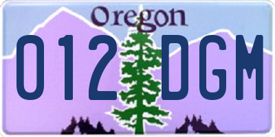OR license plate 012DGM