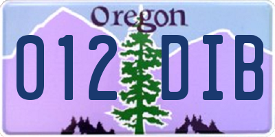 OR license plate 012DIB