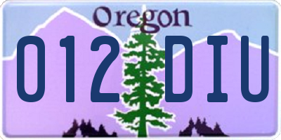 OR license plate 012DIU