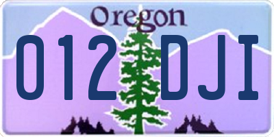 OR license plate 012DJI