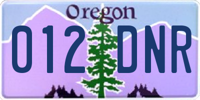 OR license plate 012DNR