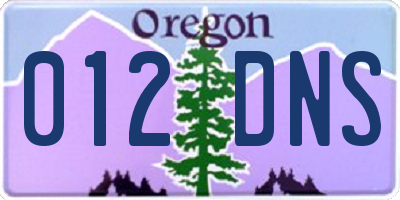 OR license plate 012DNS