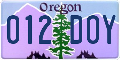 OR license plate 012DOY