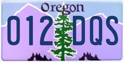 OR license plate 012DQS