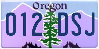 OR license plate 012DSJ