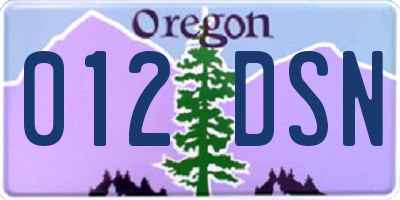 OR license plate 012DSN