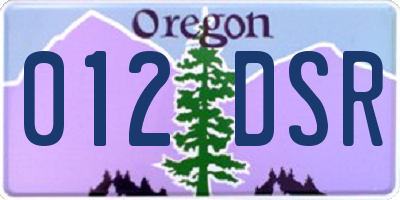 OR license plate 012DSR