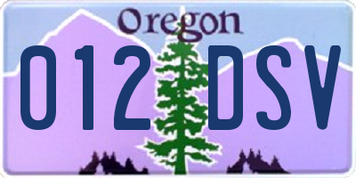 OR license plate 012DSV
