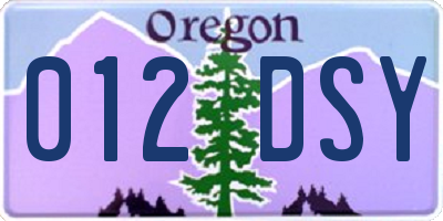 OR license plate 012DSY
