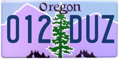 OR license plate 012DUZ