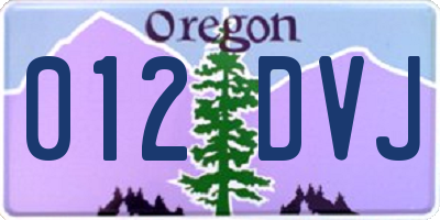 OR license plate 012DVJ
