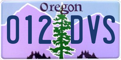 OR license plate 012DVS