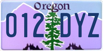 OR license plate 012DYZ