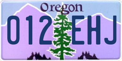 OR license plate 012EHJ