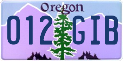 OR license plate 012GIB