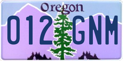 OR license plate 012GNM