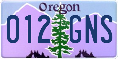 OR license plate 012GNS