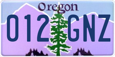OR license plate 012GNZ