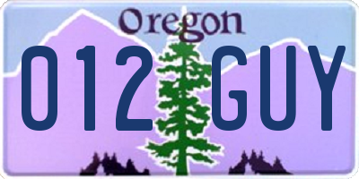 OR license plate 012GUY