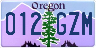 OR license plate 012GZM
