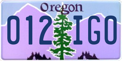 OR license plate 012IGO