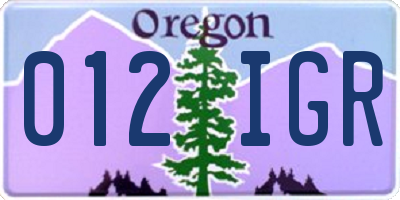 OR license plate 012IGR