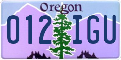 OR license plate 012IGU