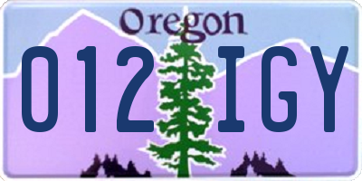 OR license plate 012IGY
