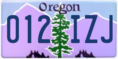 OR license plate 012IZJ