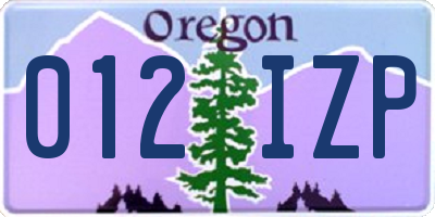 OR license plate 012IZP