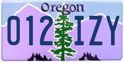 OR license plate 012IZY