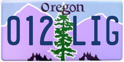OR license plate 012LIG
