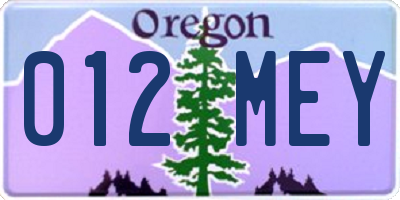 OR license plate 012MEY
