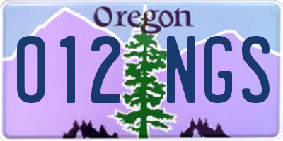 OR license plate 012NGS