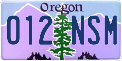 OR license plate 012NSM