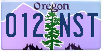 OR license plate 012NST