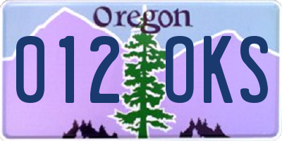 OR license plate 012OKS