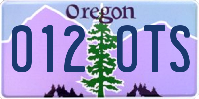 OR license plate 012OTS