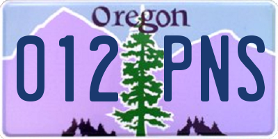 OR license plate 012PNS